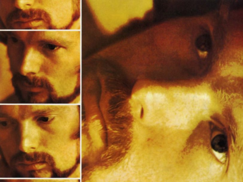 ‘Moondance’ At 55: A Track-By-Track Guide To Van Morrison’s Most Personal Album